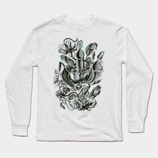 Ernst Haeckel Pitcher Plant  Teal Long Sleeve T-Shirt